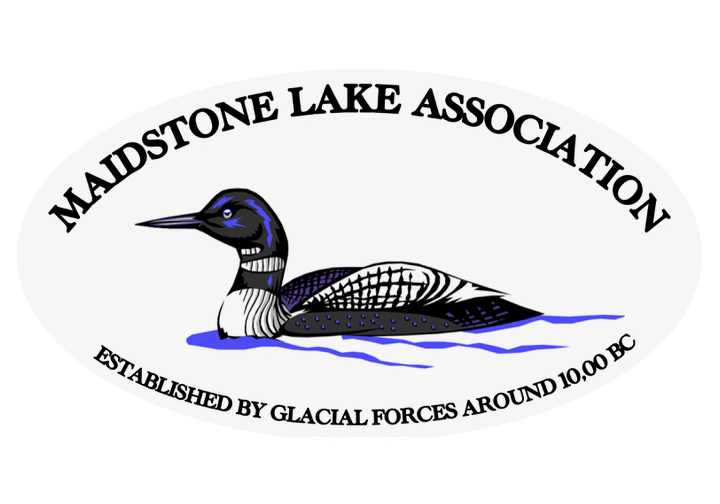 Maidstone Logo copy.png