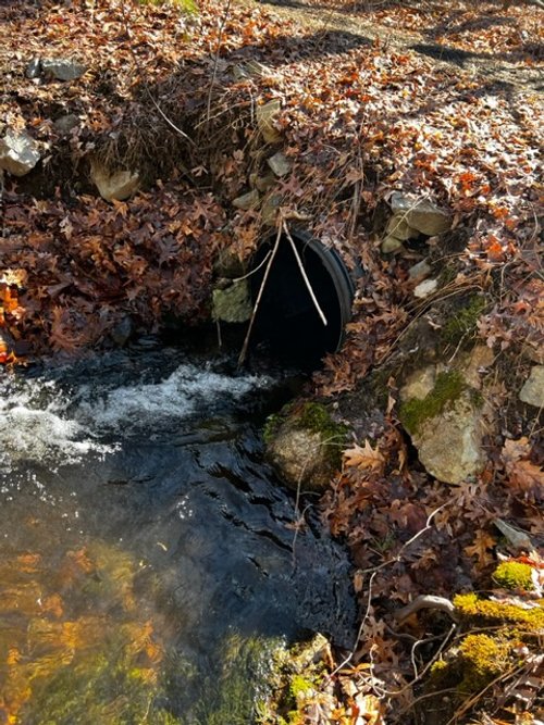 Upstream of Cement Dam 1.jpg