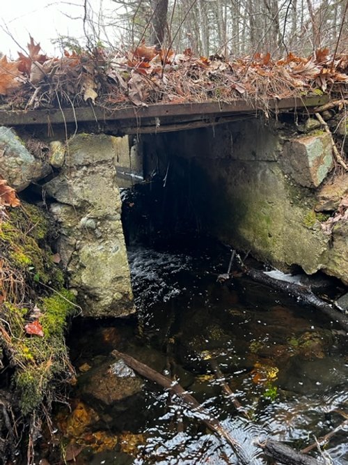 Downstream of Cement Dam.jpg