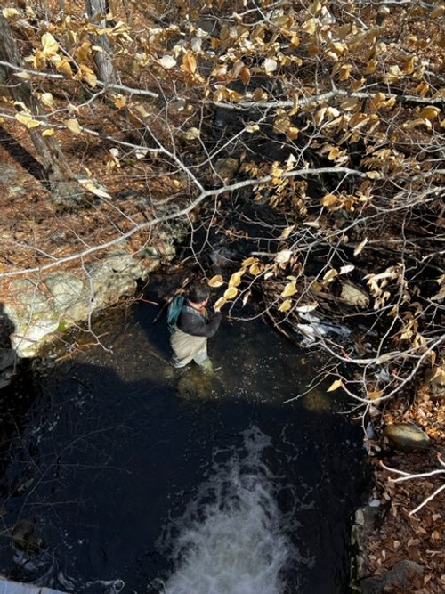 Dam Below Channings Pond.jpg