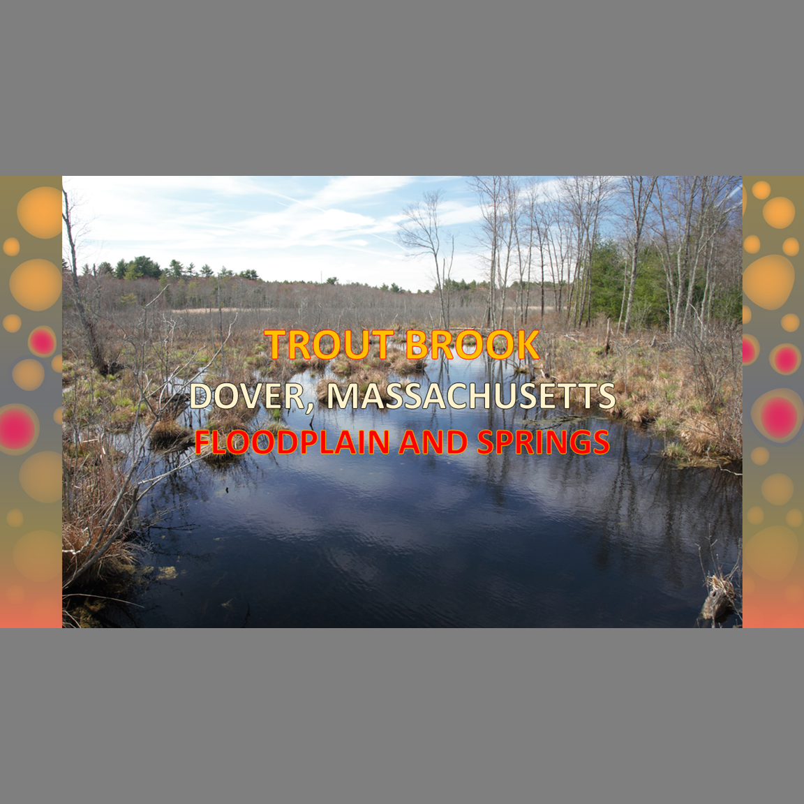Trout Brook: Floodplain