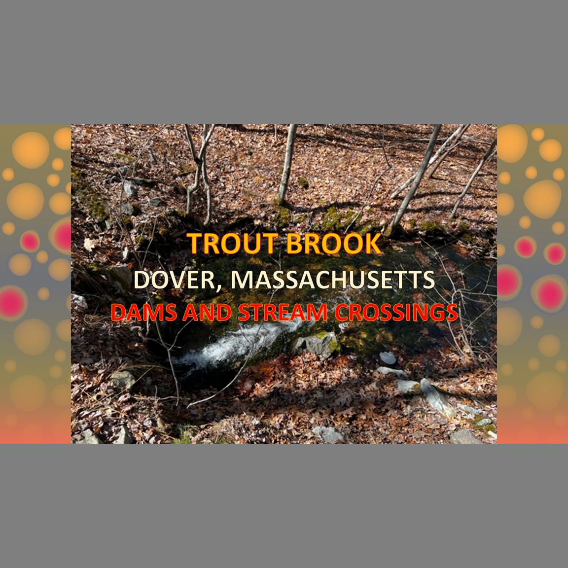 Trout Brook: Dams and Stream Crossings
