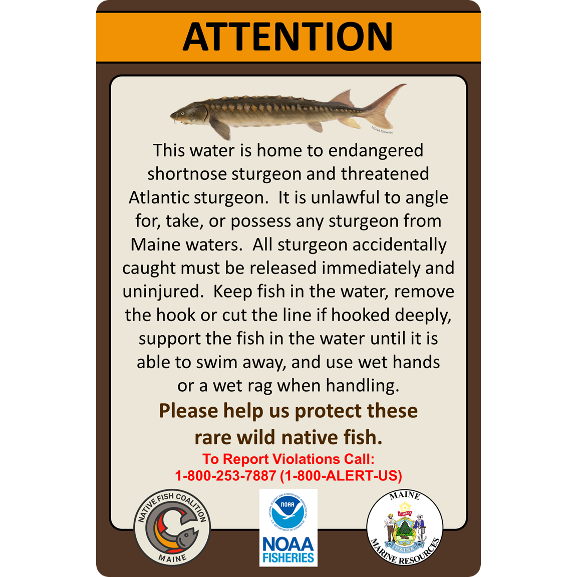 STURGEON SIGN - MAINE 