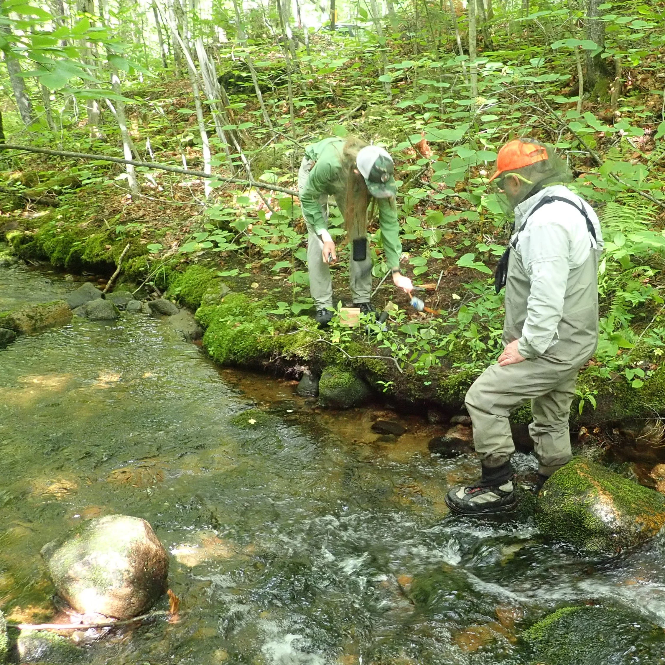 HOLISTIC STREAM ASSESSMENT/RESTORATION: APPLEBEE BROOK - CAROLL, NH ...