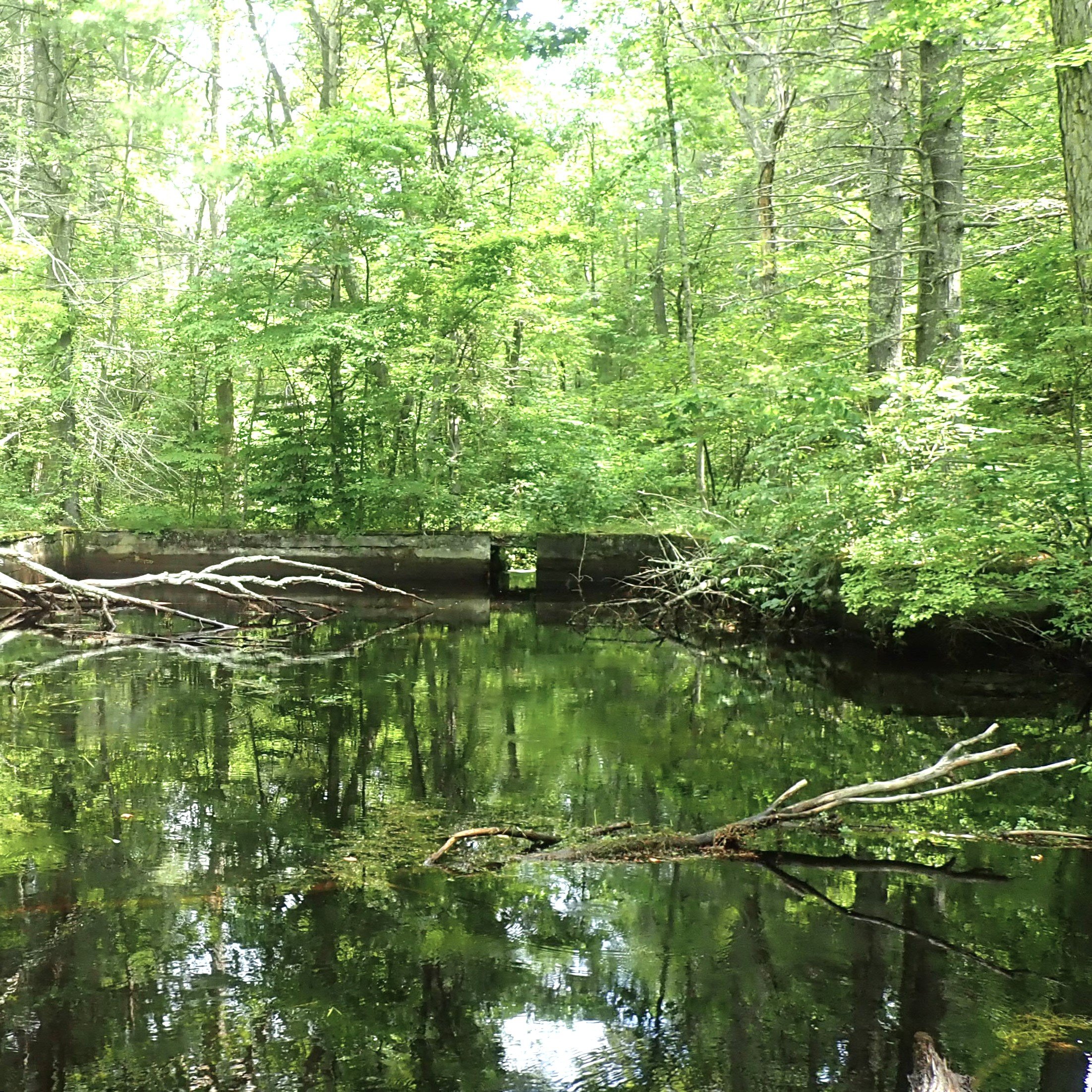 Massachusetts — Native Fish Coalition