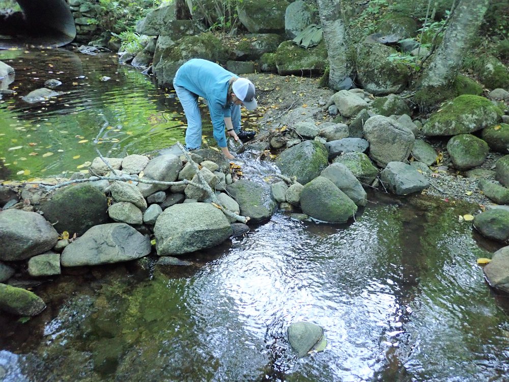 ROCK DAM - Appleby Brook (6).JPG