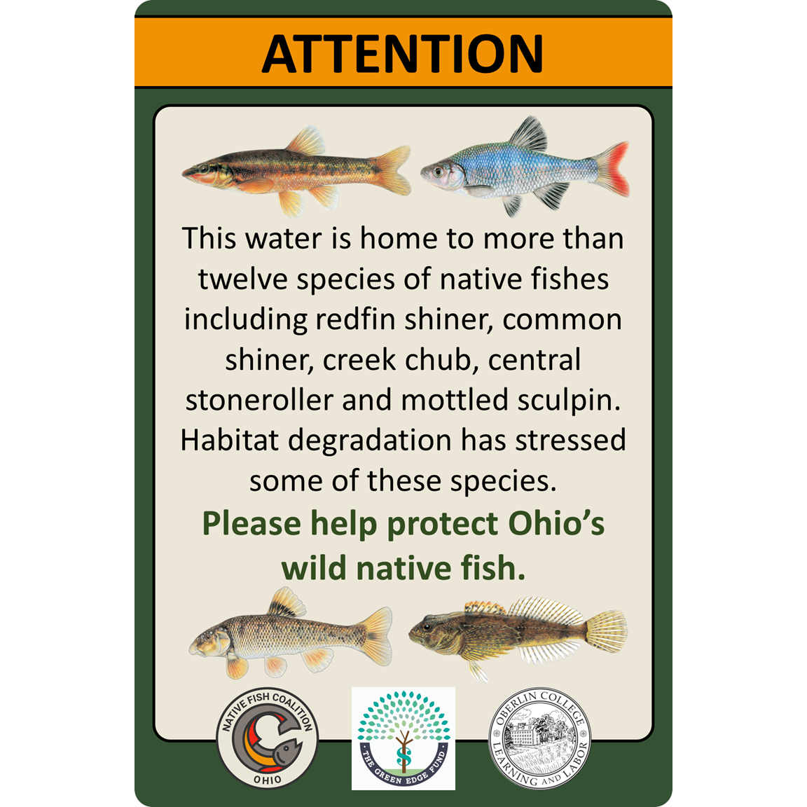 Ohio Oberlin College Sign