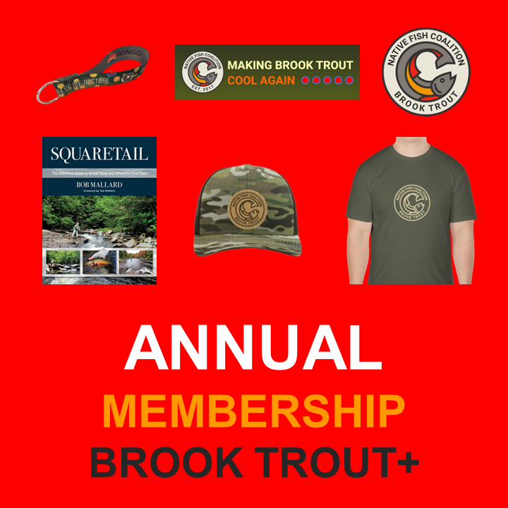 Annual Brook Trout+ Membership