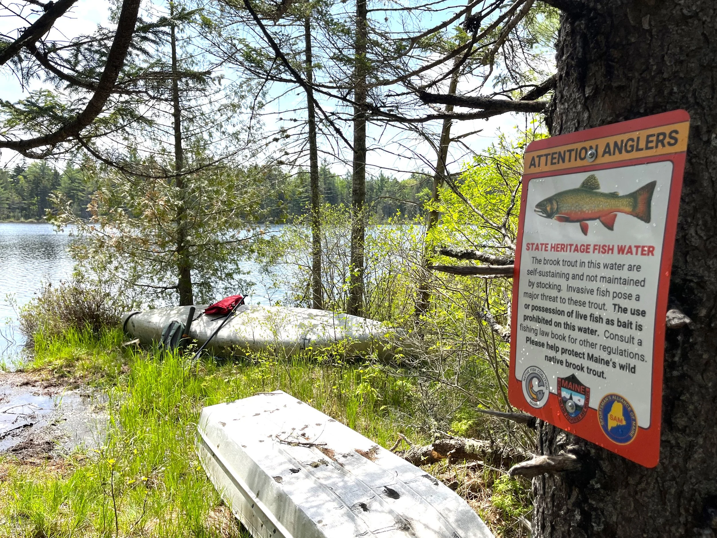image_50459393.JPG