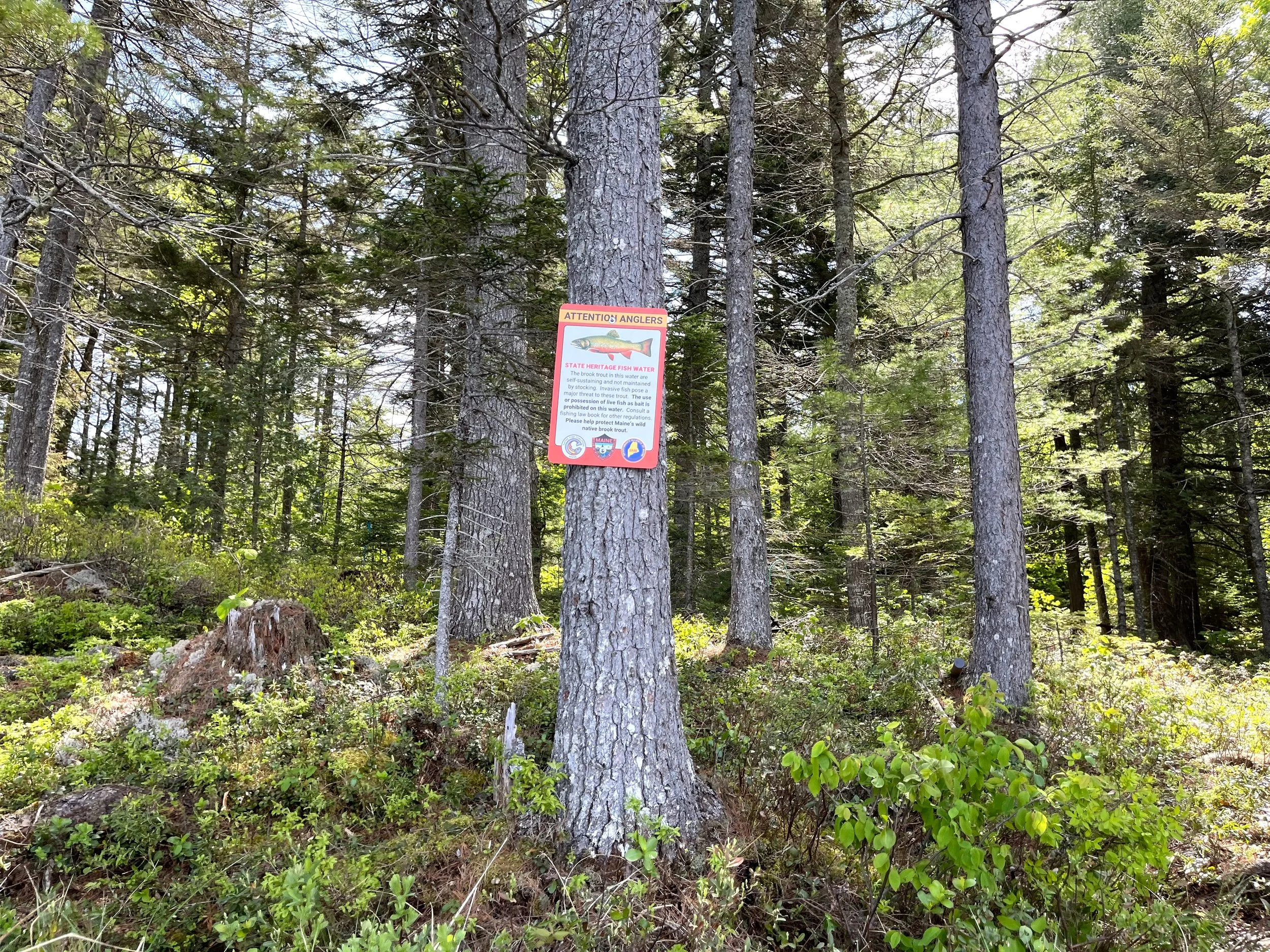 image_50751745.JPG