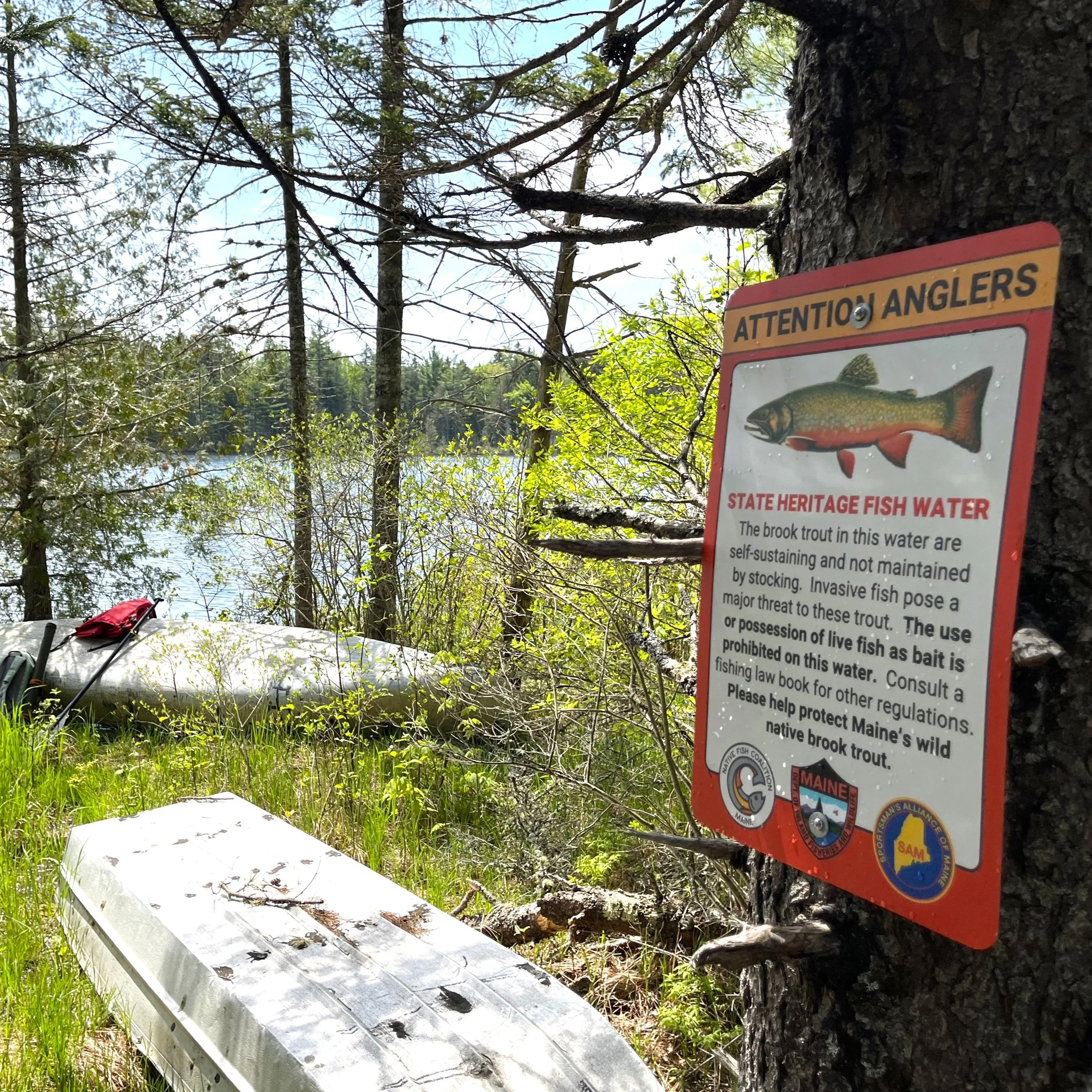 Maine High School Teacher and Students Post State Heritage Fish Signs...