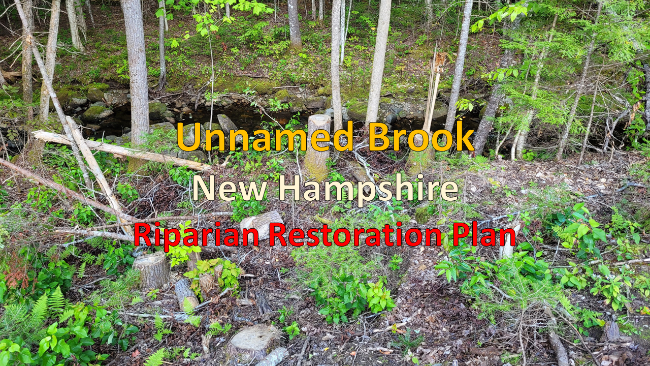Unnamed Brook - RIPARIAN REPLANTING