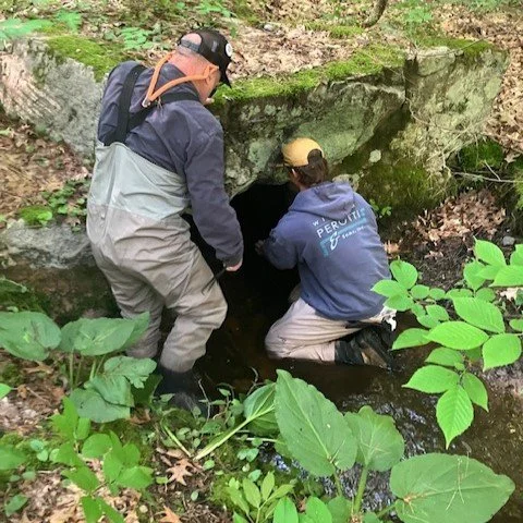 Trout Brook in Massachusetts Stream Temperature Monitoring Resumes...