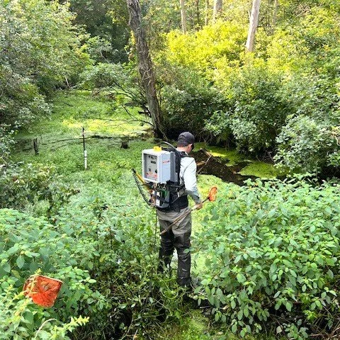 Trout Brook: Year-2 E-Fishing Update...