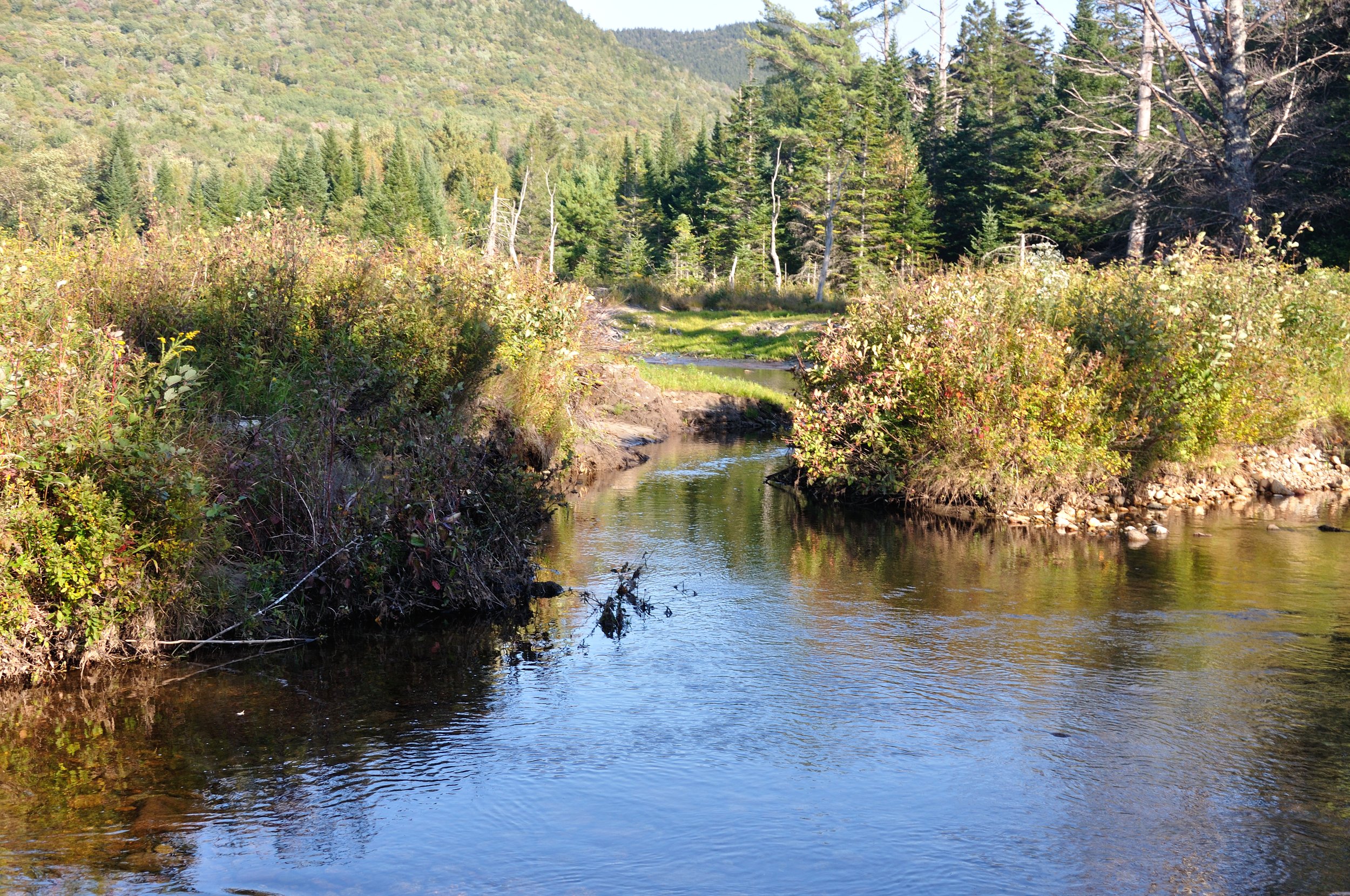 DSC_0160.JPG