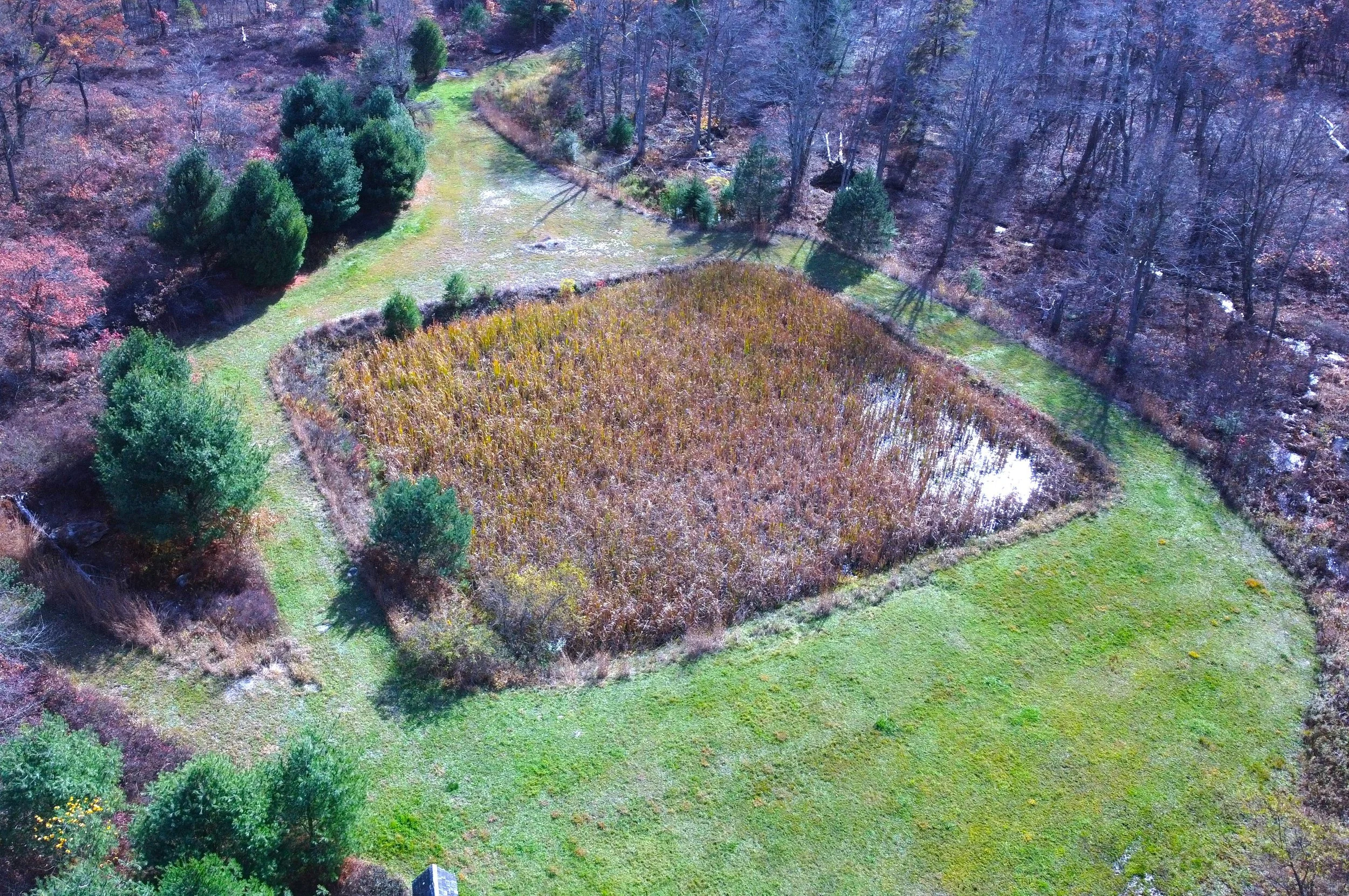 DJI_0125.JPG