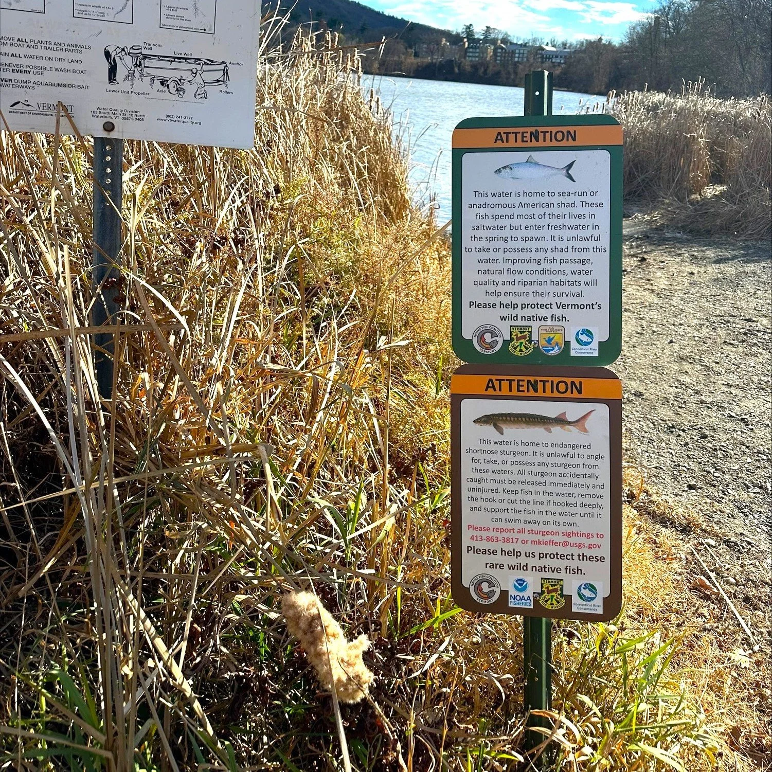 Vermont Gets First Endangered Sturgeon Signs...