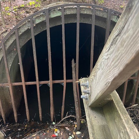 Cold Spring Brook Going Under Beacon Street 2.jpeg