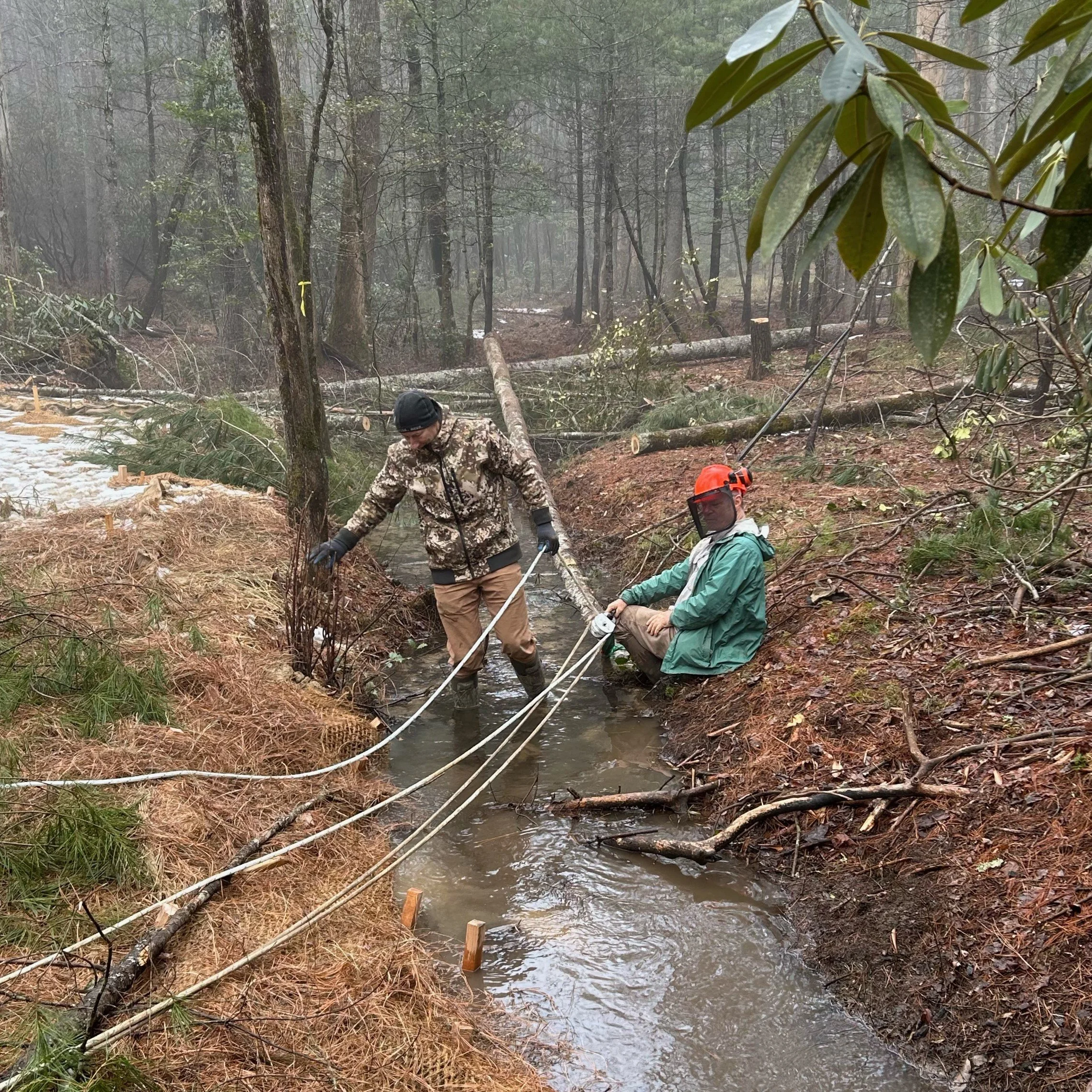 Georgia NFC Helps Address ORV Damaged Brook Trout Headwater Stream...