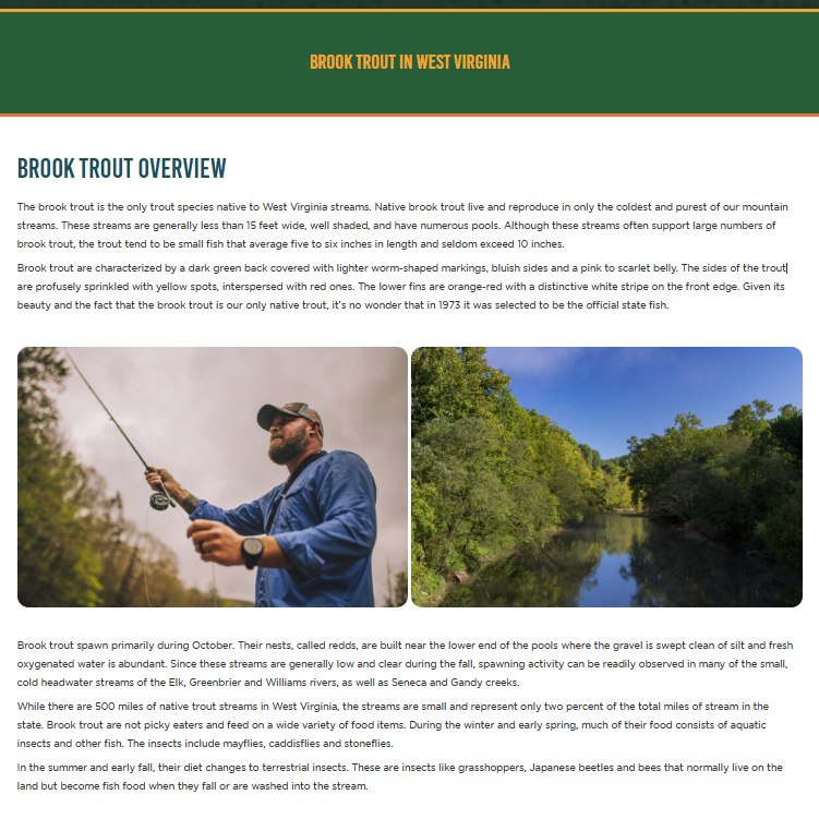 A Small But Symbolic Win for WV Brook Trout...