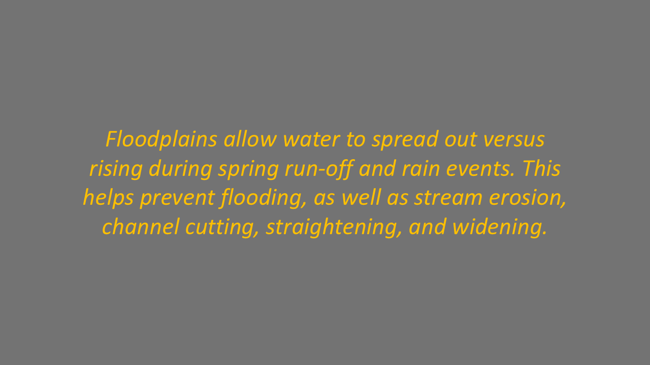 Slide9.PNG