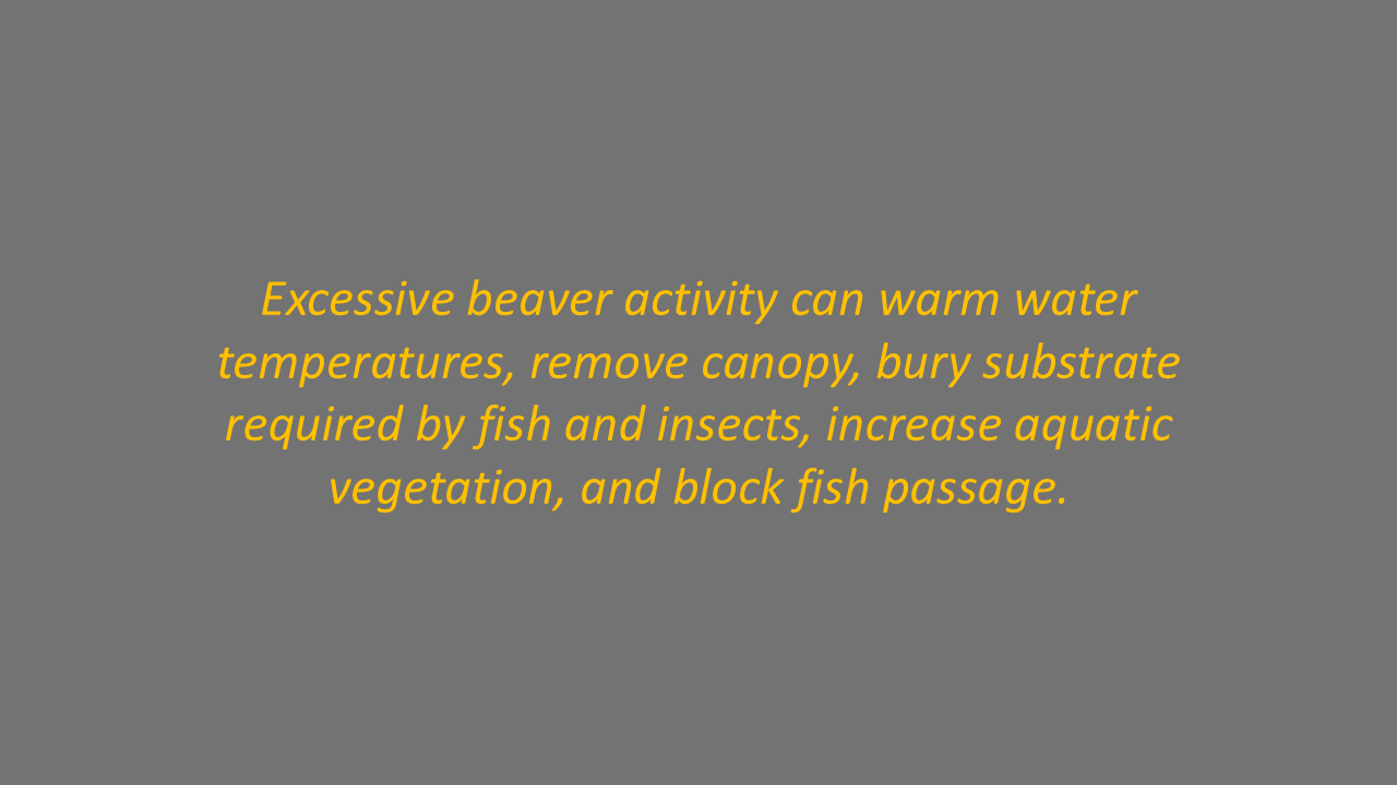 Slide33.PNG
