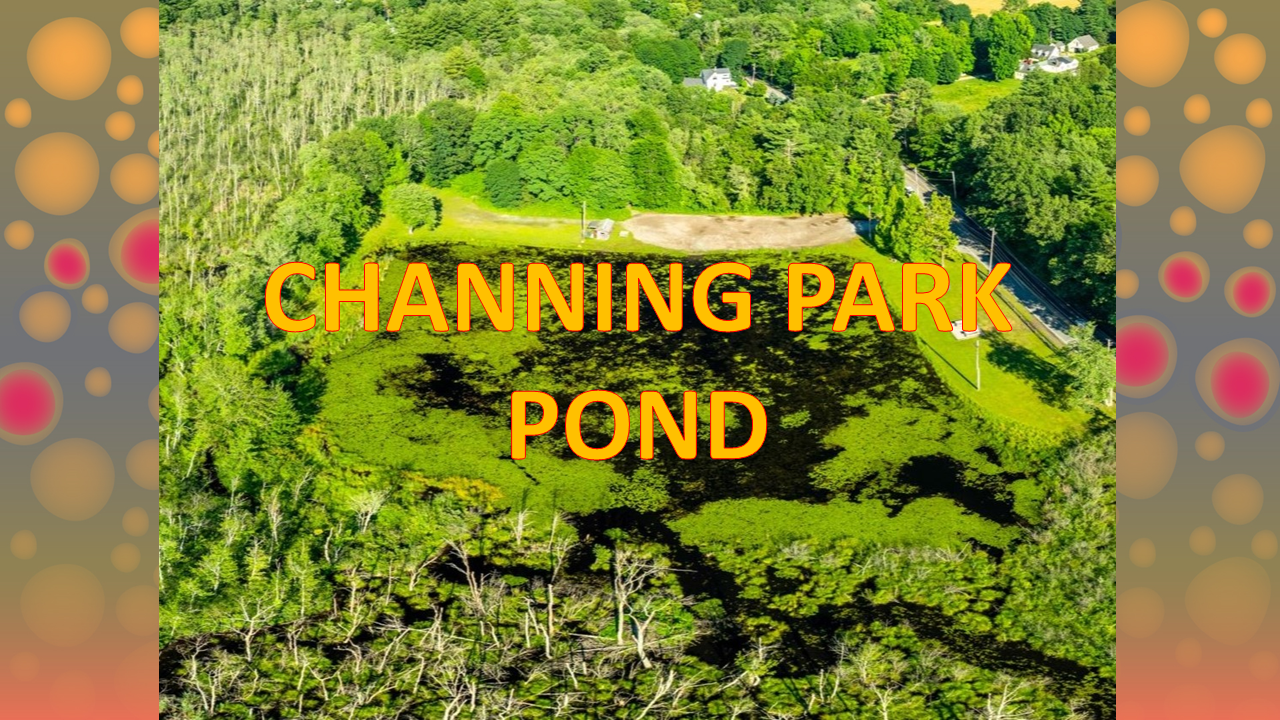 Slide38.PNG