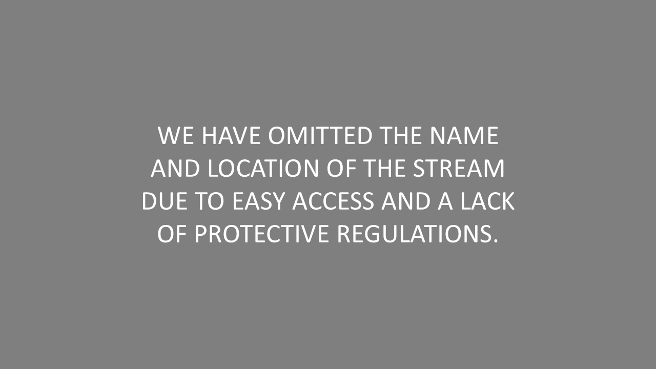 Slide3.PNG