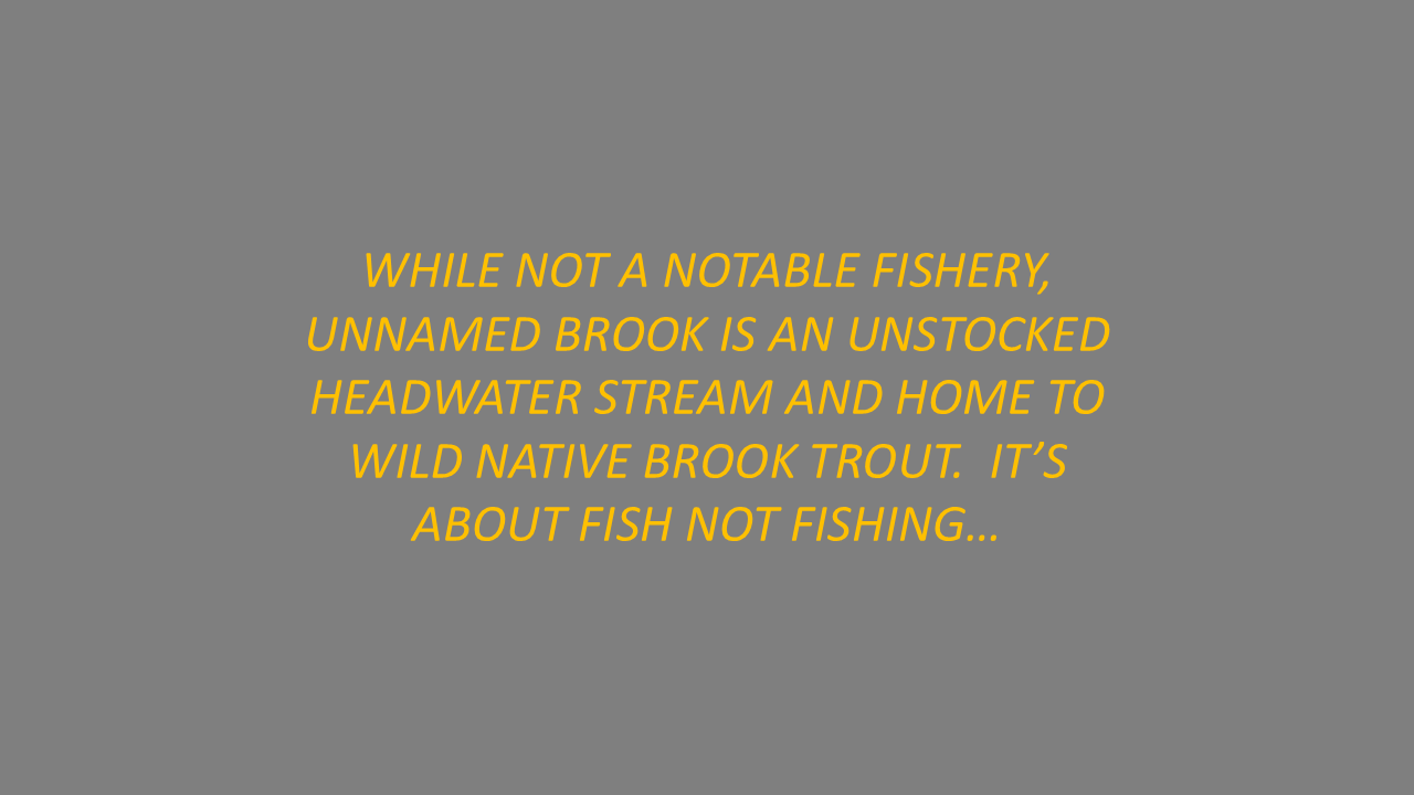 Slide4.PNG