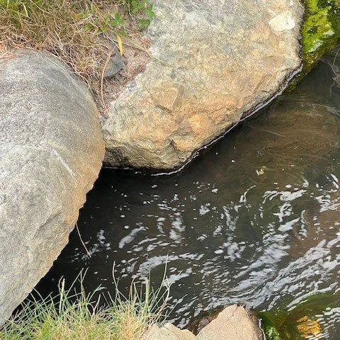 First Cemetery Pond 2.jpeg