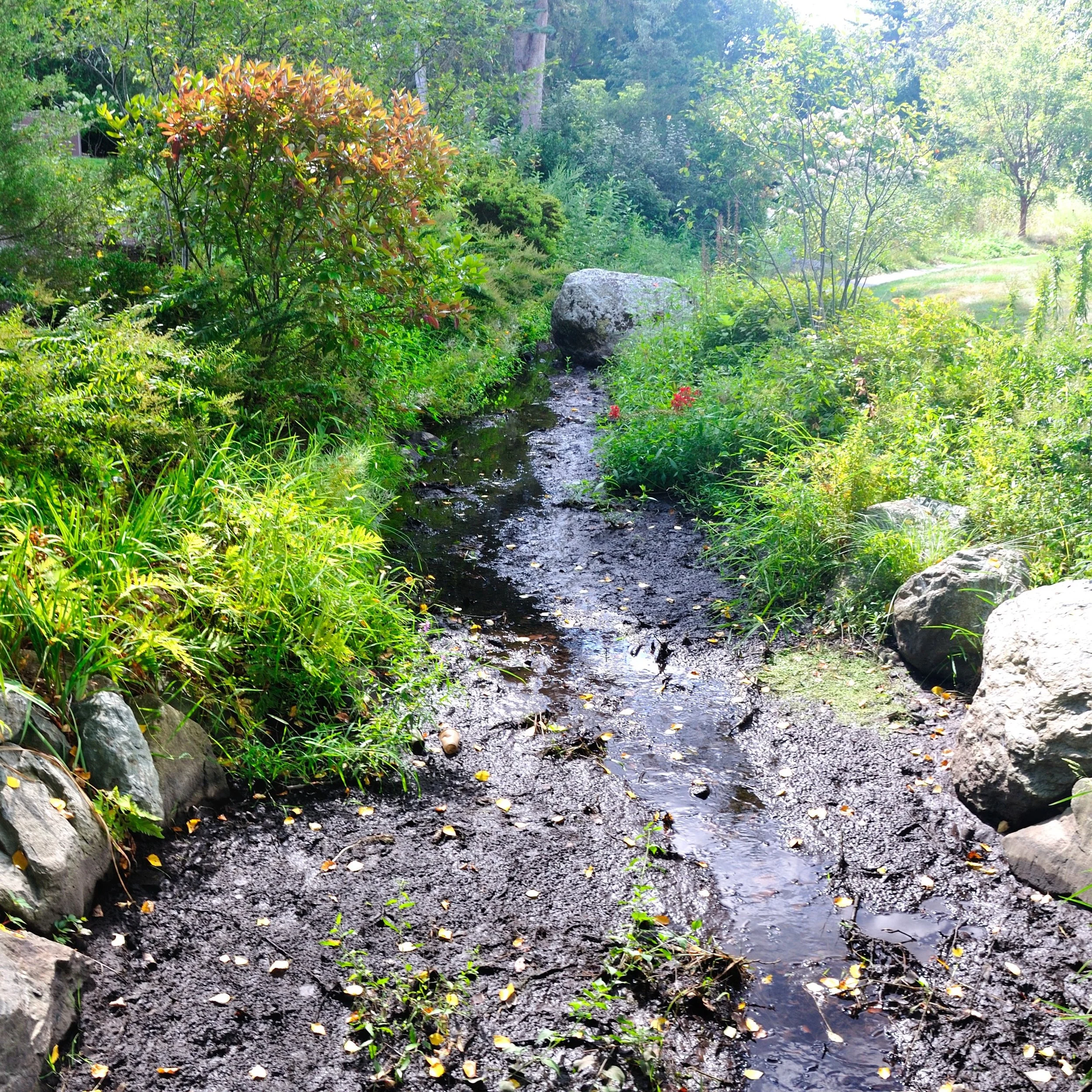 Campaign Update: Looking Downstream to Understand What's Not Upstream and Why...