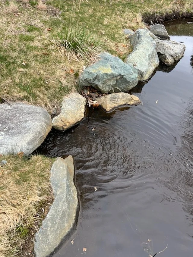 Cold Spring Brook Between Headwaters and Beacon Street.jpeg