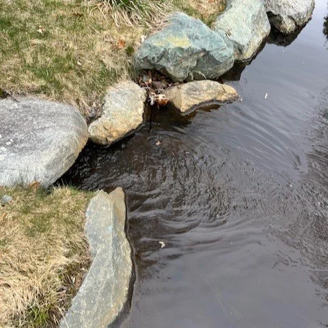 Cold Spring Brook Between Headwaters and Beacon Street 2 .jpeg