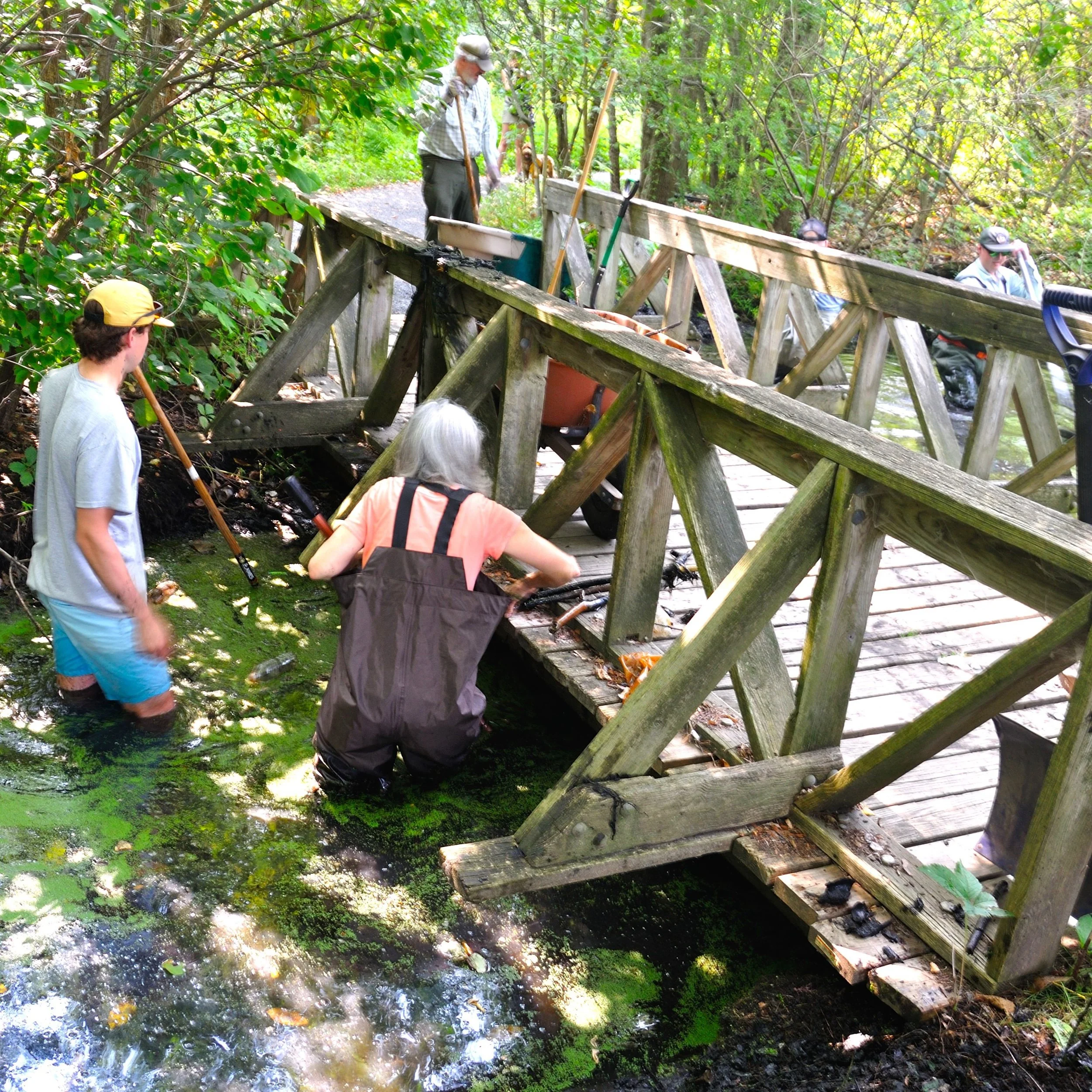 Campaign Update: Clearing out Decaying Organic Matter and Debris at Cold Spring Brook...