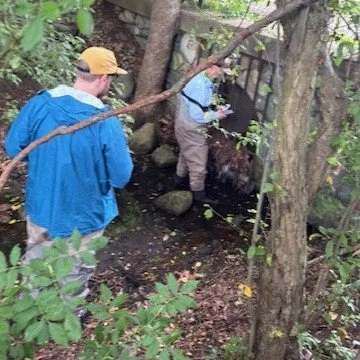 Campaign Update: Cold Spring Brook at Cold Spring Park: Water ...