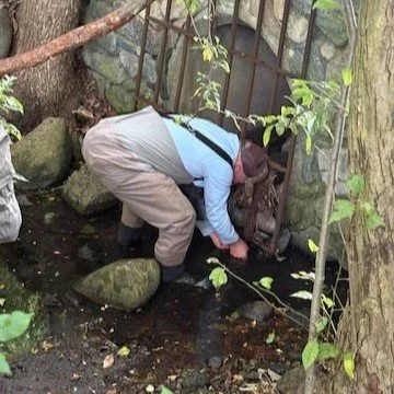 Campaign Update: Cold Spring Brook at Cold Spring Park: Water ...