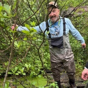 Campaign Update: Cold Spring Brook at Cold Spring Park: Water ...