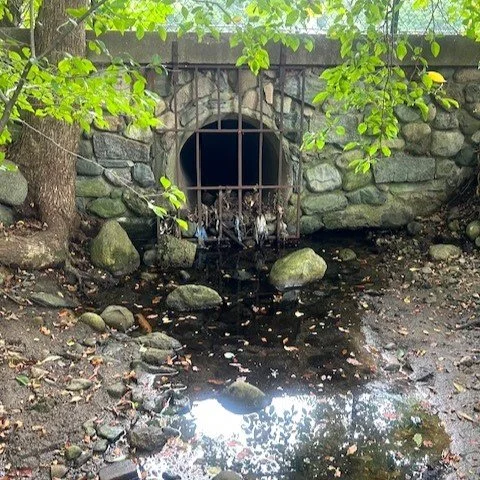 Cold Spring Brook Headwaters - 1 2.jpeg