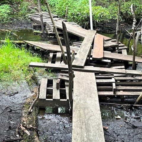 Cold Spring Brook Makeshift Bridges 2.jpeg