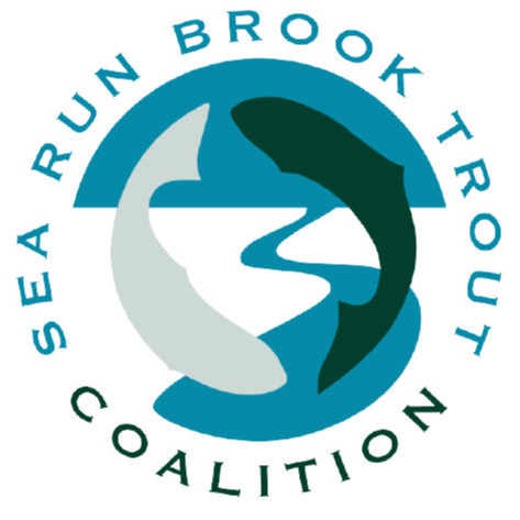 searunbrookie-org-modified.png