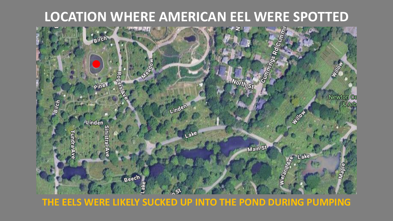 Slide46.PNG