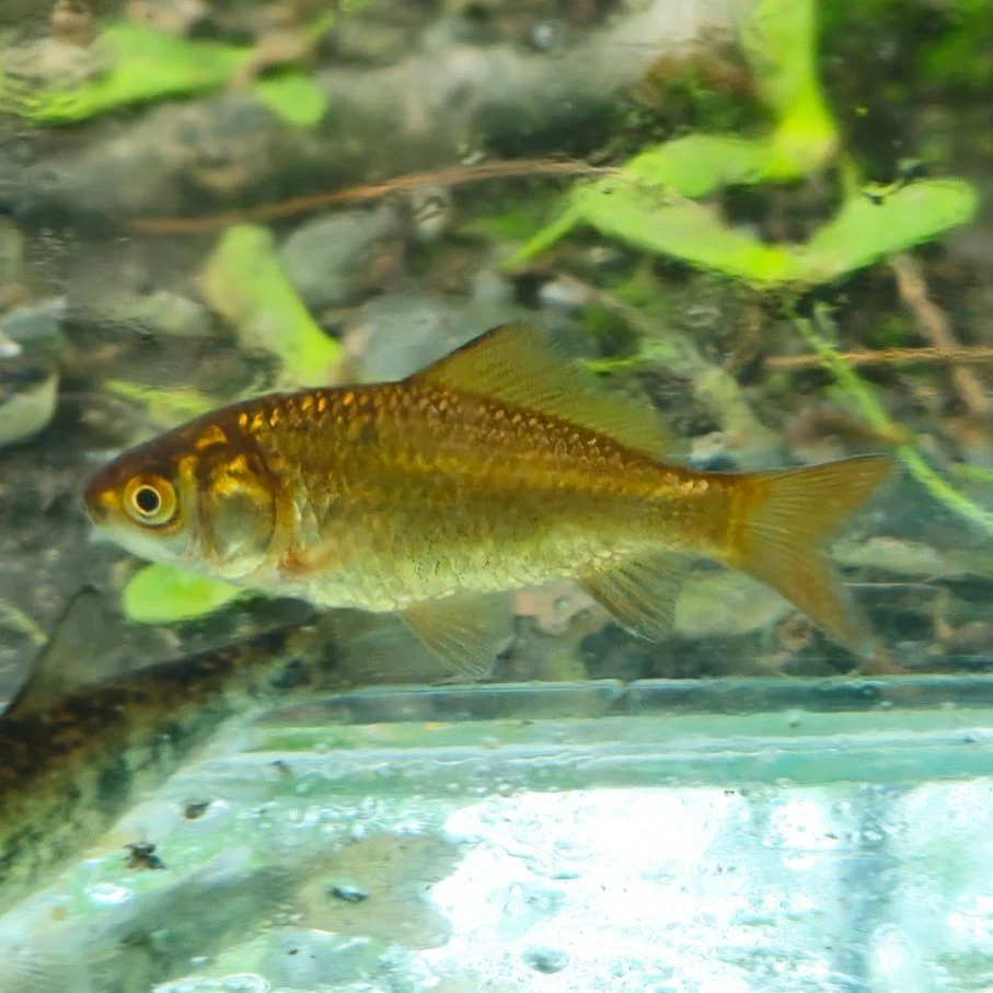 6444852280316174658 X.jpeg