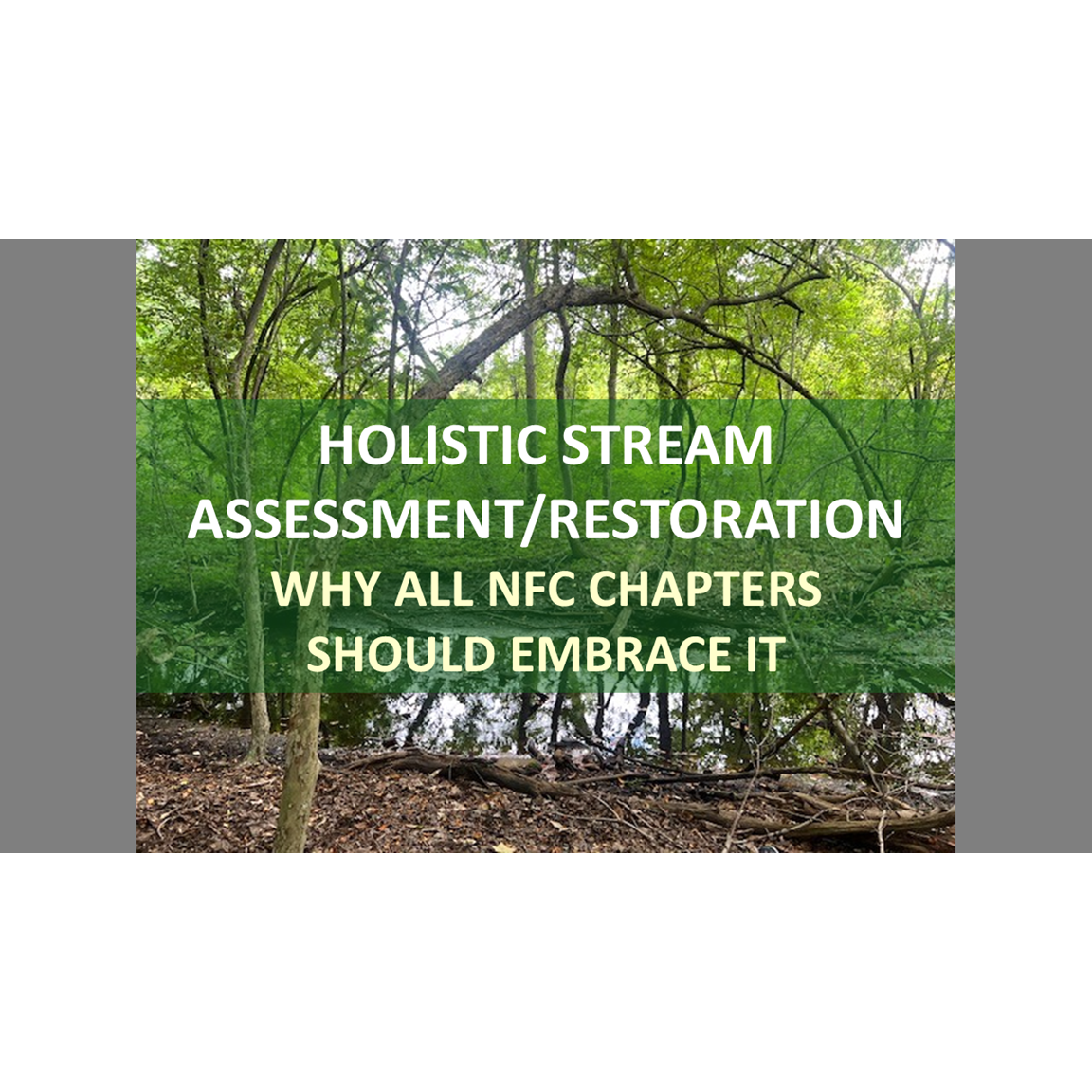 Why Holistic Stream Assessment/Restoration...