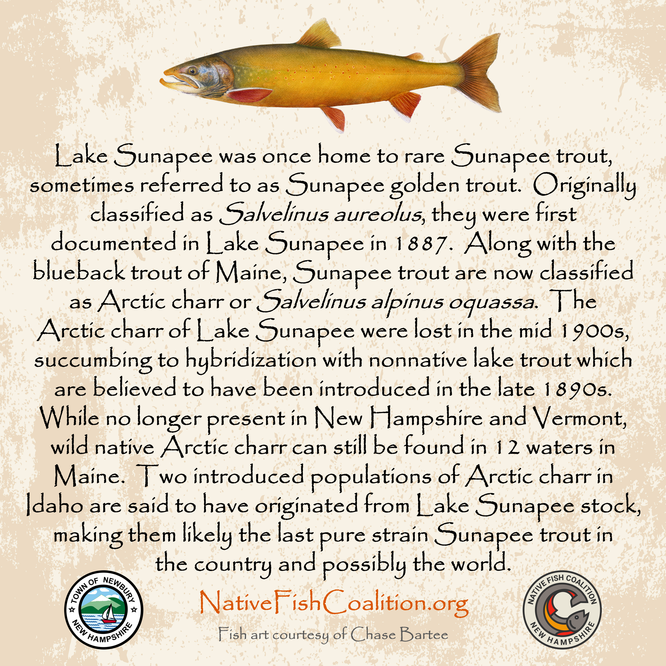 NH CHR Kiosk - Newbury (24X24).png