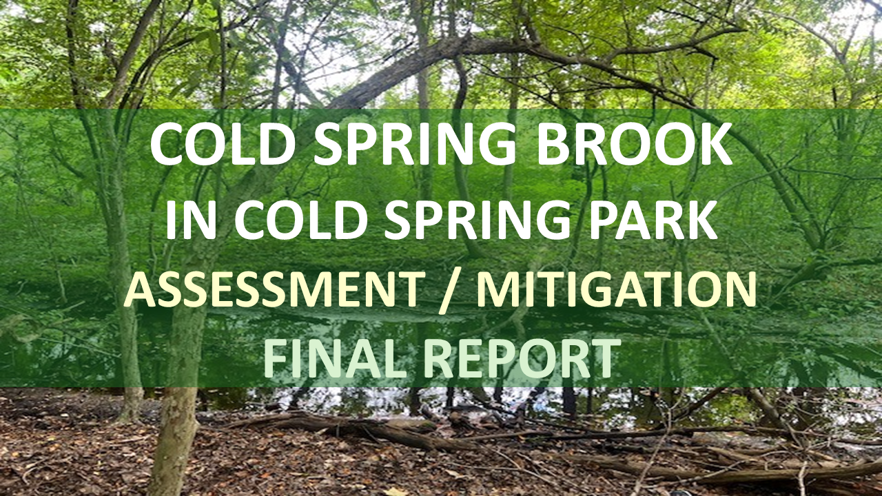 CSB Final Report  - CSP (Draft).png