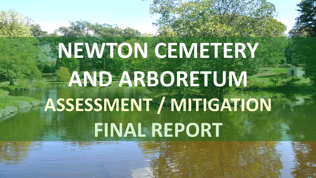 CSB Final Report - Cemetery (Draft).png