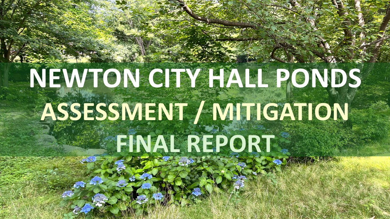 Final Report - City Hall (Draft).png