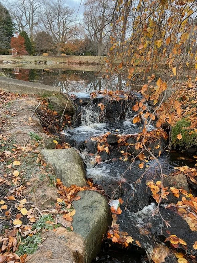 Pond 4 Outlet (8 inch perch).jpg