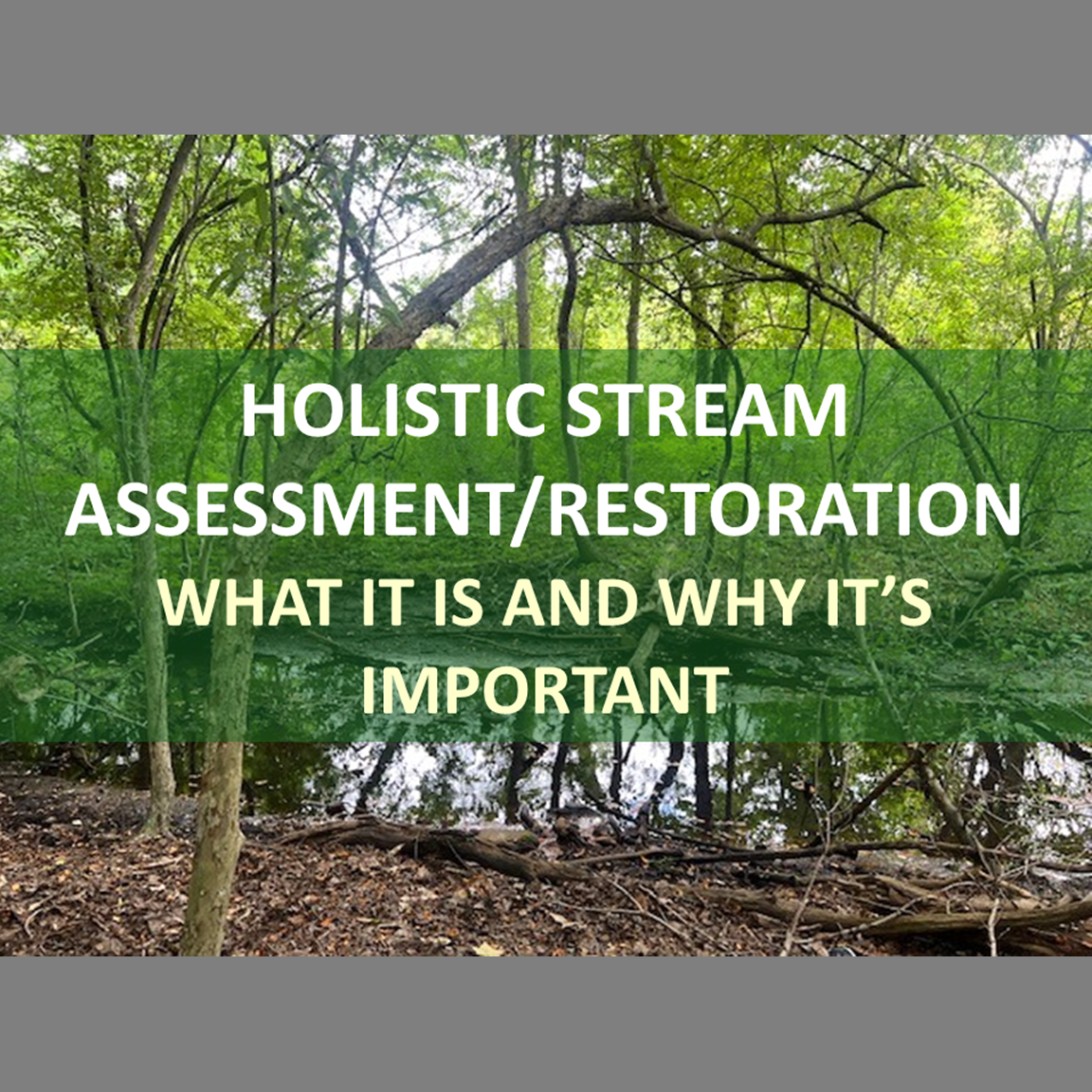 Why Holistic Stream Assessment/Restoration...