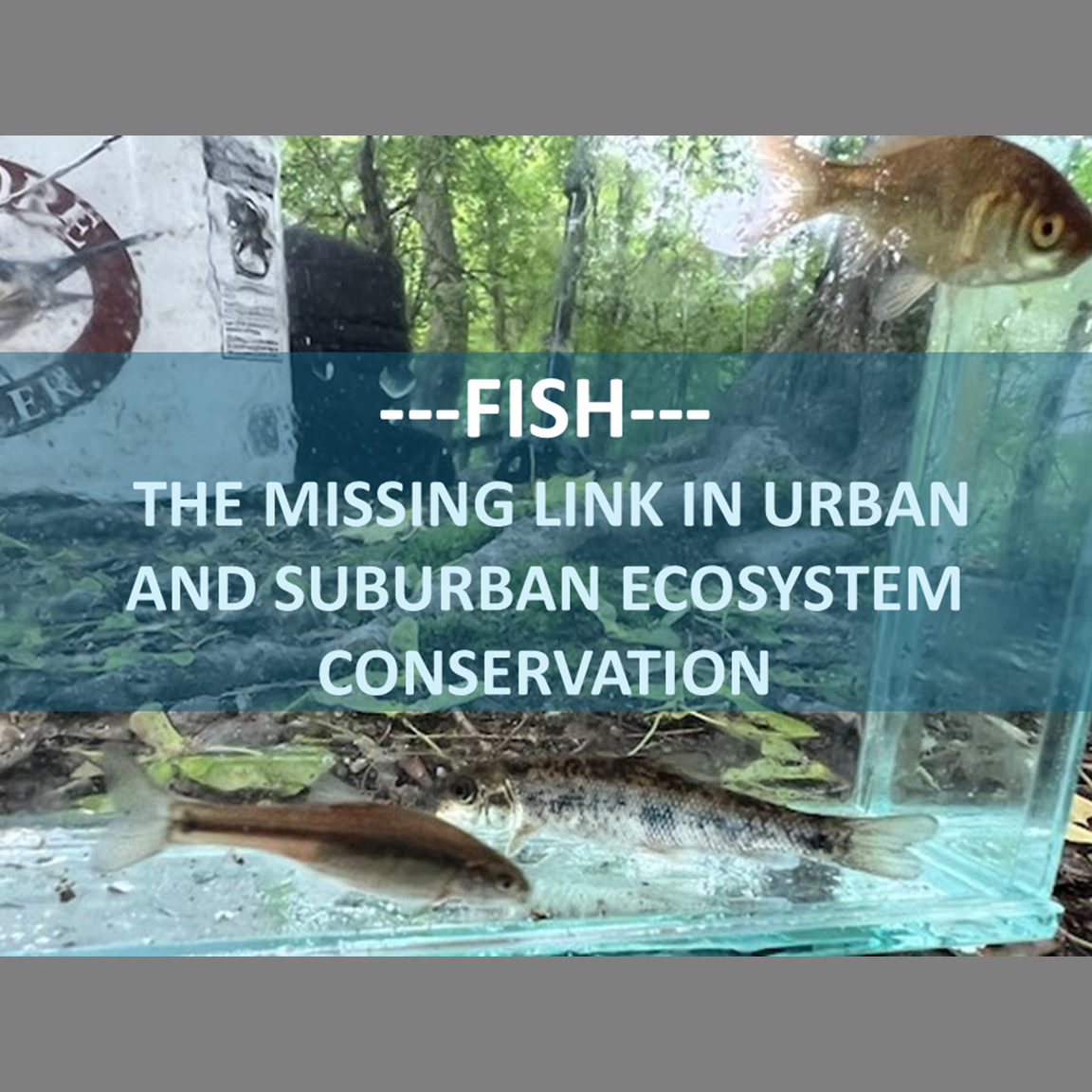FISH: THE MISSING LINK IN URBAN  AND SUBURBAN ECOSYSTEM CONSERVATION...